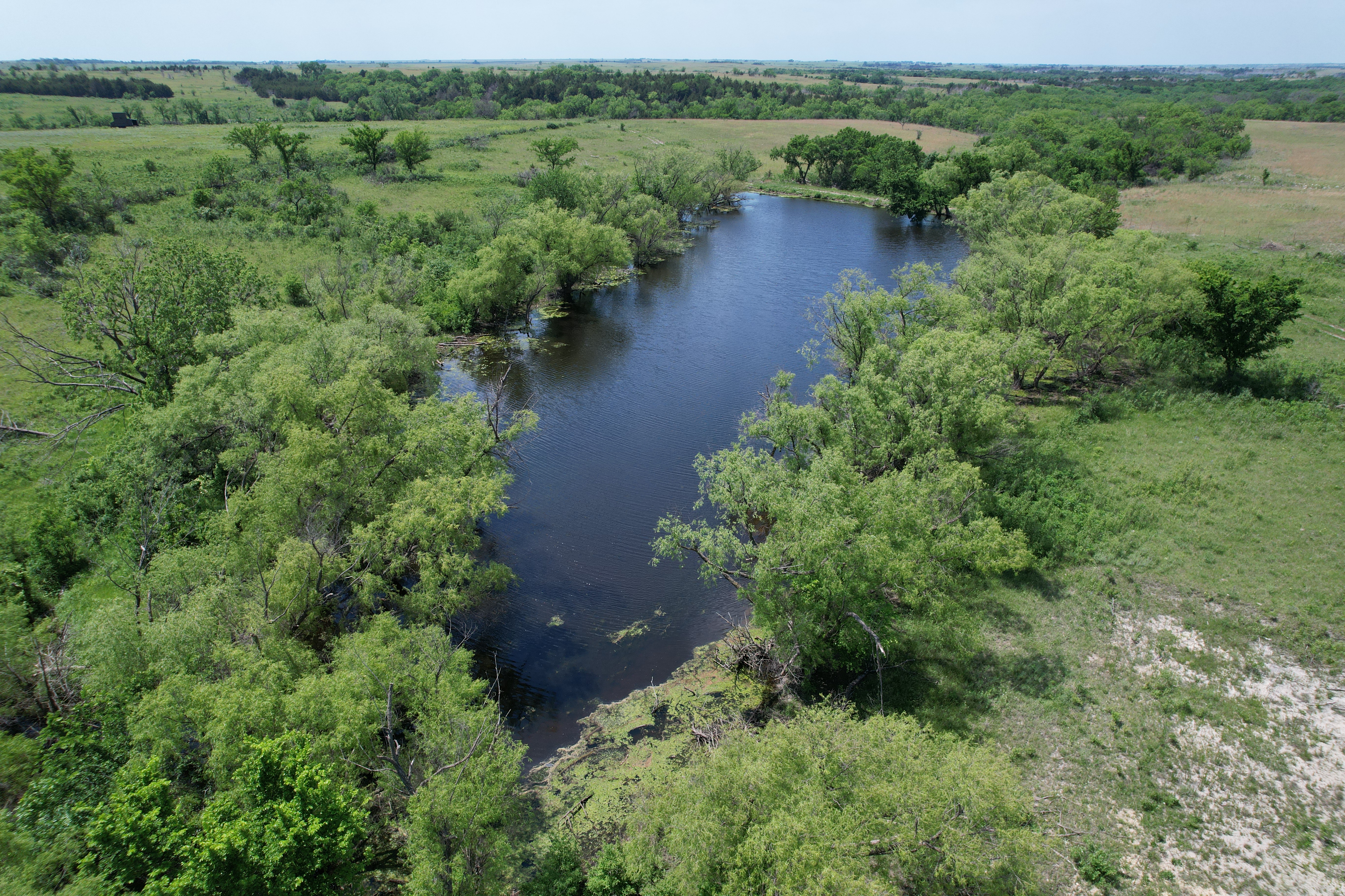 Springs, ponds and creek bottoms
