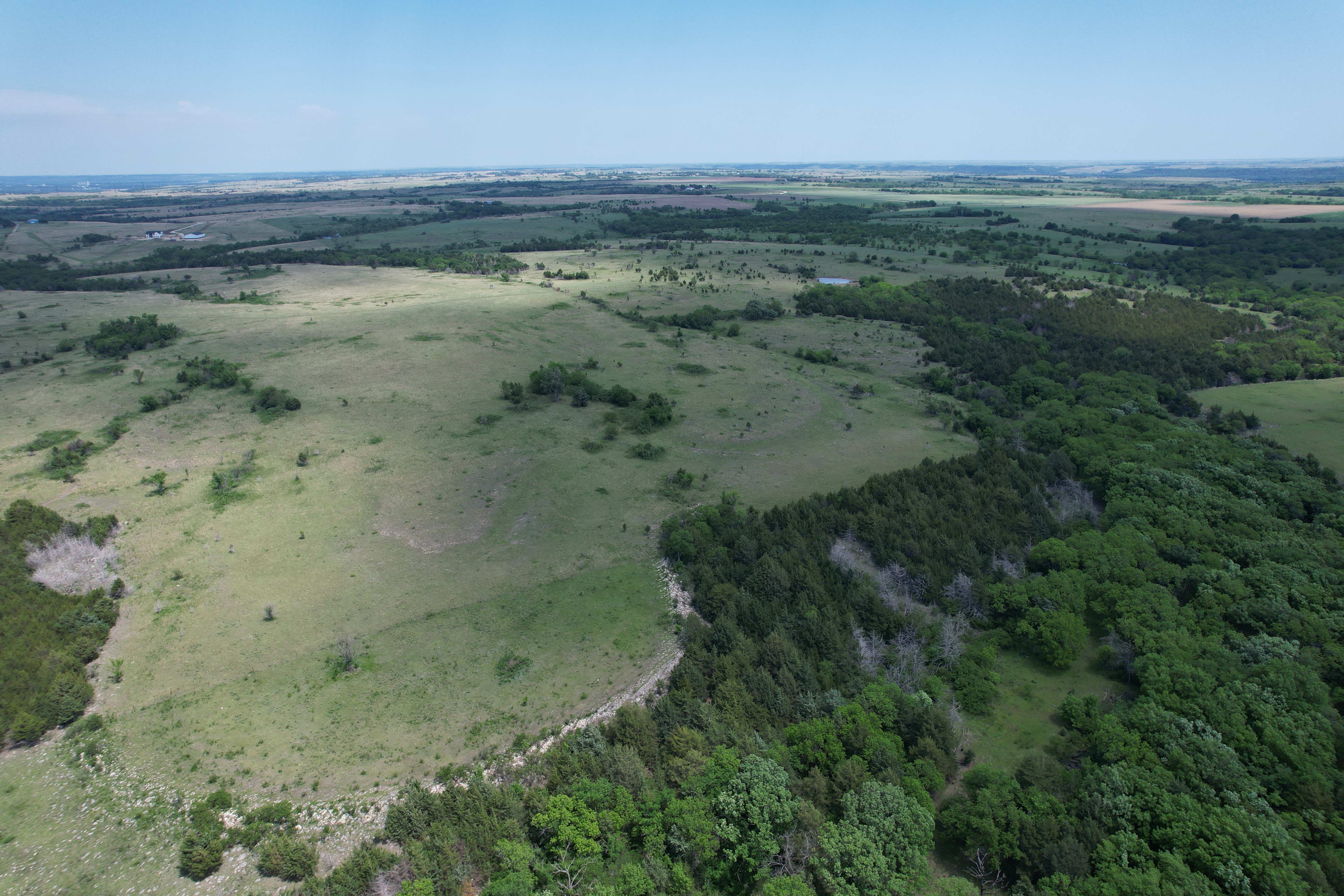 Oak ridges and native grass