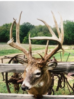 Trophy harvest